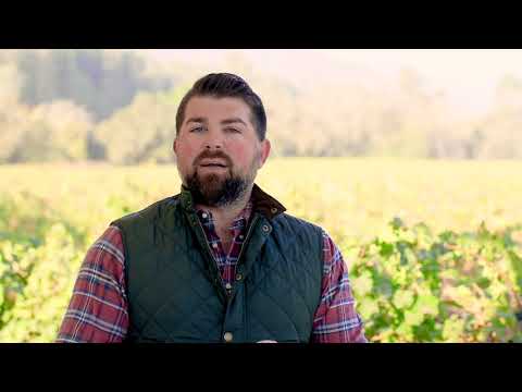 Böen Russian River Valley Pinot Noir 2022