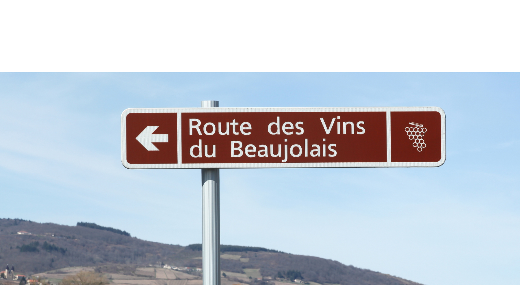 Focus On: Beaujolais Nouveau 2025