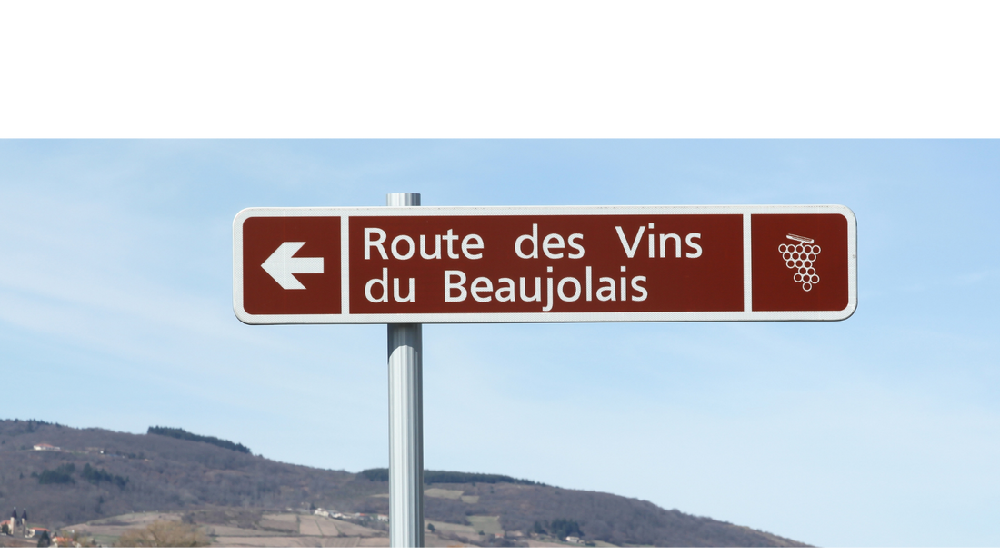 Focus On: Beaujolais Nouveau 2025
