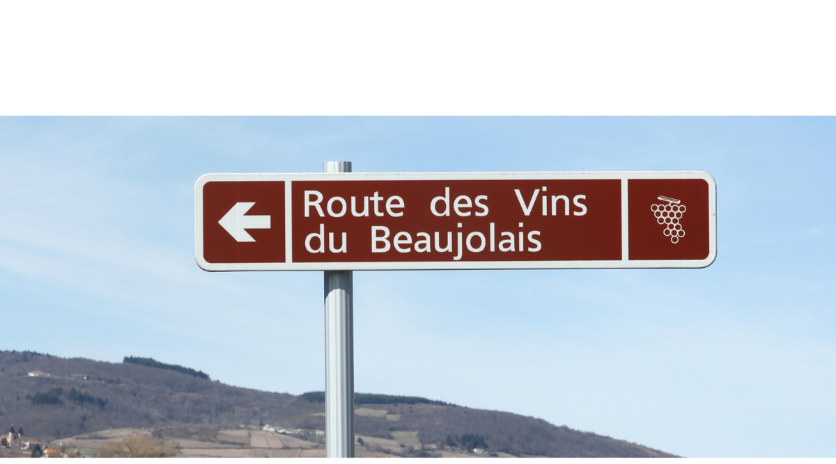 Focus On: Beaujolais Nouveau 2025