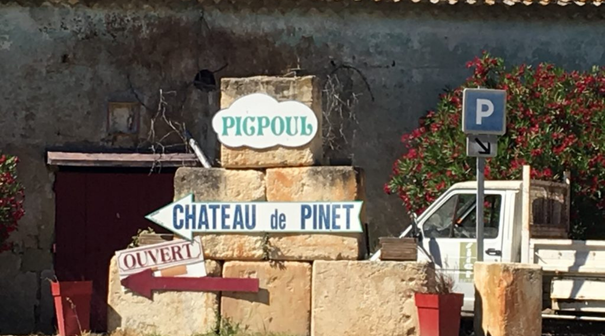 Picpoul de Pinet... on the march