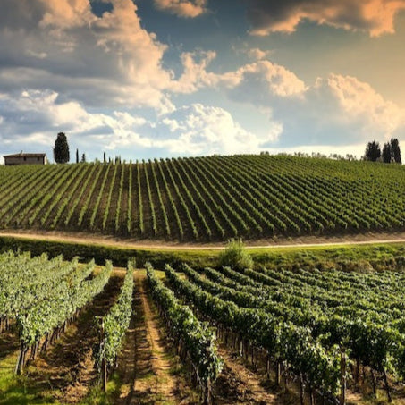 TASTING: Introduction to Bordeaux Wine Regions