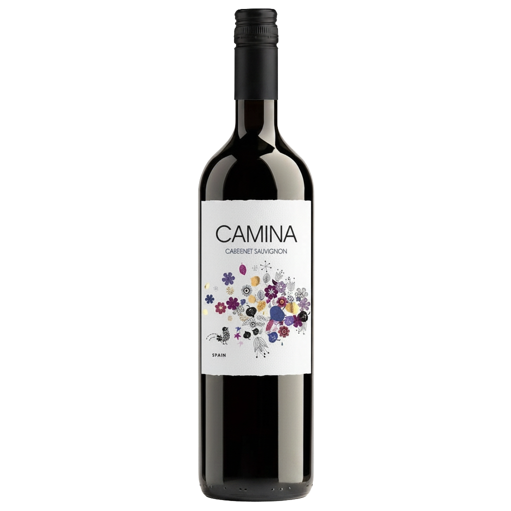 Camina Cabernet Sauvignon 2021 - The General Wine Company