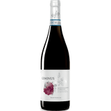 Monteselva Geminus Montepulciano d'Abruzzo The General Wine Company