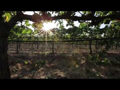 Duckhorn Vineyards Napa Valley Merlot Three Palms Vineyard 2018